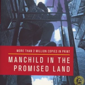 Man Child in the Promised Land Book